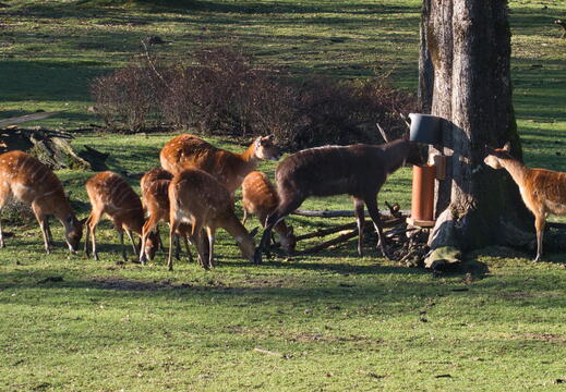 Tag 2: Hellbrunn Zoo - Unterberg